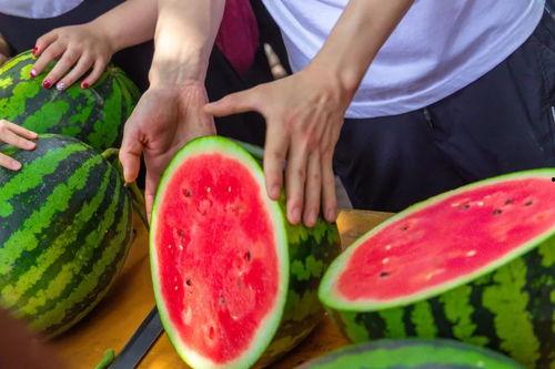 西昌现代学校吃瓜,吃瓜群众揭秘校园美食风云