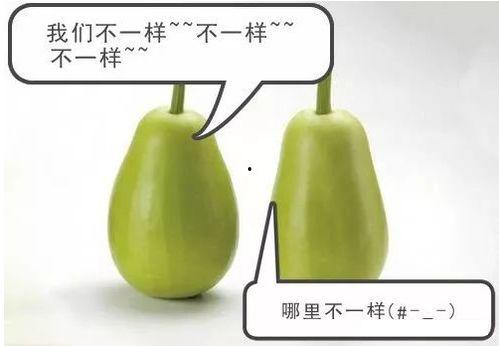 上安吃瓜,揭秘网络热点的背后故事