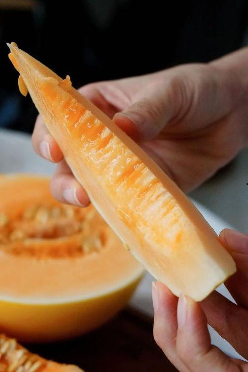 甘肃吃蜜瓜的香味描写,瓜熟蒂落醉人心