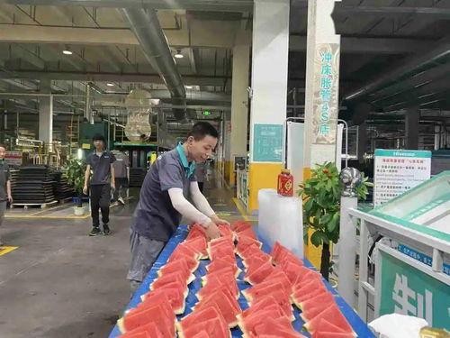 工人车间吃瓜,工人夏日消暑新风尚