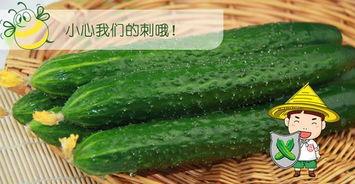 多巴胺穿搭吃瓜,吃瓜群众如何紧跟潮流