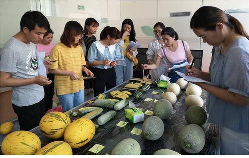 梧州职业吃瓜,揭秘瓜界新潮流