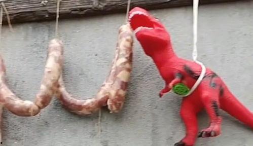 恐龙吃瓜玩偶,与史前巨兽共度欢乐时光的吃瓜玩偶之旅