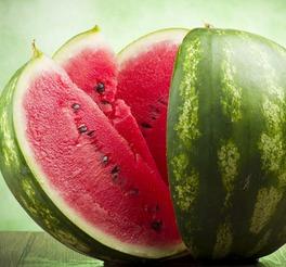 吃瓜的群头像,揭秘吃瓜群头像背后的趣味与潮流