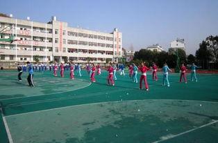 辽宁鞍山育英中学吃瓜,揭秘校园里的“瓜田”风云”