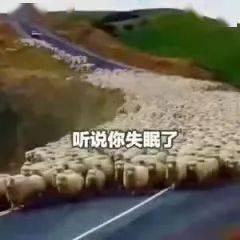 失眠吃瓜视频,一场关于梦境与现实的奇幻之旅