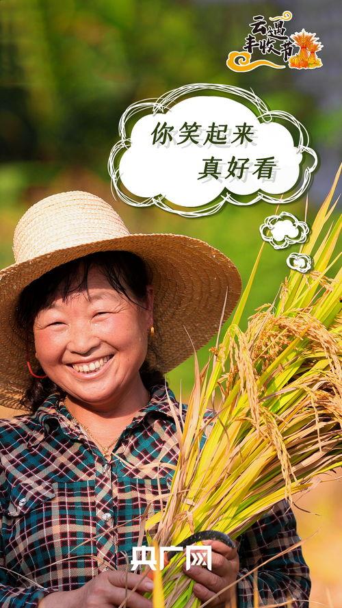 云木吃瓜韩靖格