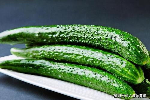 皇后吃小懒瓜,小懒瓜的宫廷传奇