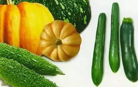 吃瓜消暑的视频,跟着吃瓜视频一起清凉一夏