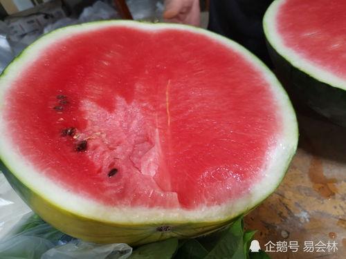 吃瓜消暑的视频,跟着吃瓜视频一起清凉一夏