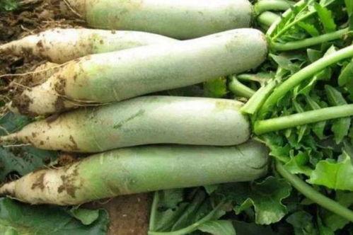 qq吃瓜图片,一场视觉盛宴与舆论狂欢