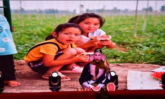 鄄城吃瓜的视频