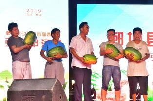 鄄城吃瓜的视频