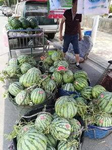 巩义吃瓜事件真相,揭秘背后真相与争议