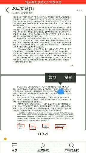 吃瓜文件pdf,深度解析事件背后的真相与影响