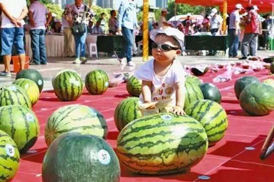 哪个网站吃瓜,跟随吃瓜群众探寻事件真相