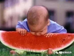 吃瓜的老鹰,揭秘娱乐圈幕后风云