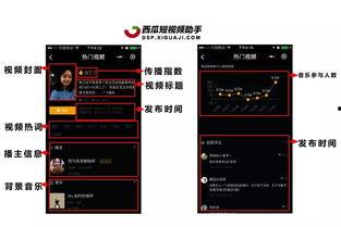 吃瓜视频小助手,带你轻松畅游娱乐世界