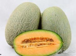 哈密瓜热着吃,热食体验，暖意盎然的美味探索
