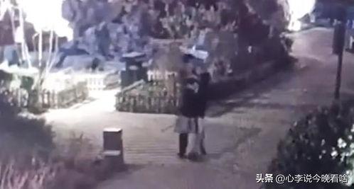 吃瓜完整原视频,一场视觉盛宴背后的故事