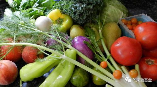 藤瓜如何吃,探索美味与营养的完美结合