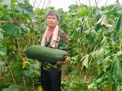 劲爆吃瓜图片,揭秘娱乐圈幕后真相