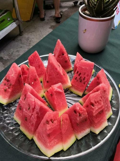 重庆婚庆吃瓜,一场视觉与味蕾的双重盛宴