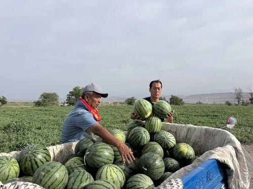 观花吃瓜,探寻春日里的美食与美景
