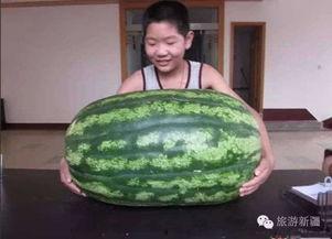 吃自己知道的瓜