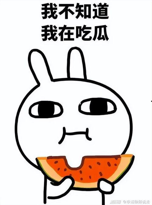 长垣吃瓜事件解读,一场网络舆论的风暴与反思