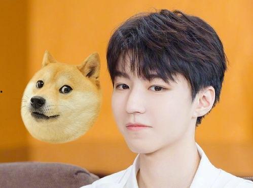 吃瓜男孩吃瓜女孩情头,吃瓜男孩与吃瓜女孩的甜蜜情头故事