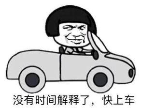 陪隔壁吃瓜,一场别开生面的吃瓜盛宴