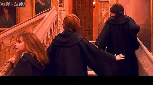 赫敏吃麻瓜,探索魔法与现实的味蕾交融