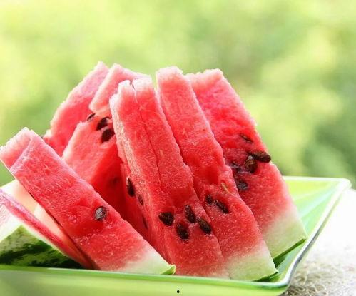 吃瓜蒲扇拍照文案图片,定格清凉瞬间