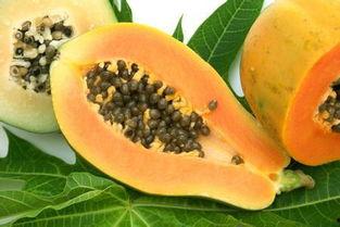 吃瓜吃熟透的好吗知乎