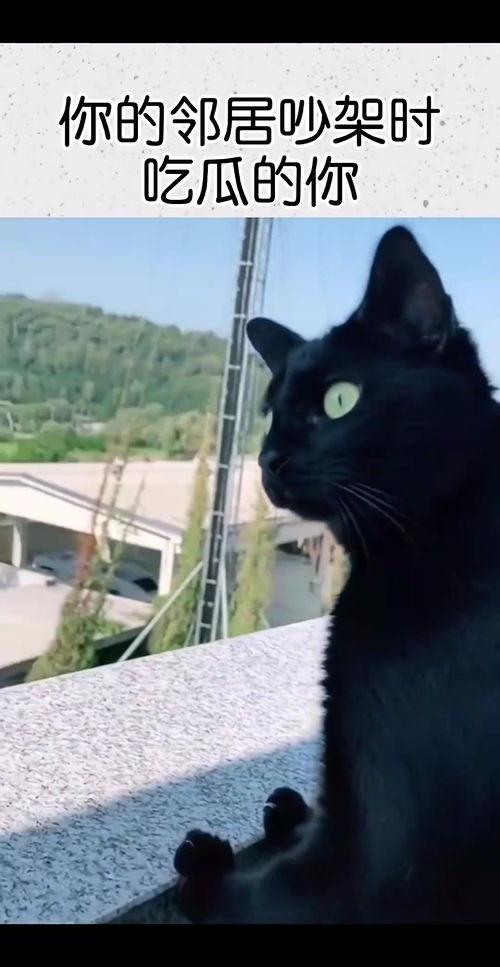 吵架吃瓜音频,一场激烈争吵背后的瓜葛与真相