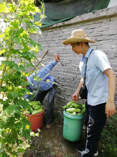 村干部吃瓜,揭秘农村基层干部的日常生活