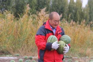 村干部吃瓜,揭秘农村基层干部的日常生活