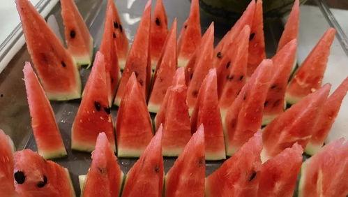 牛吃洋瓜,田园风光尽收眼底