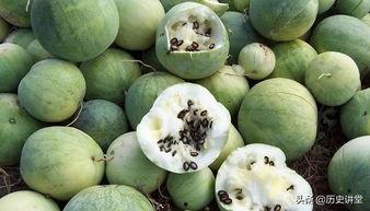 吃瓜子群众切瓜,揭秘瓜子的魅力与制作技巧