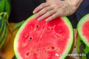 青岛大学吃瓜最新,揭秘校园热点事件背后的真相