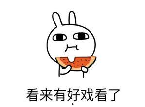 专注吃瓜的日语