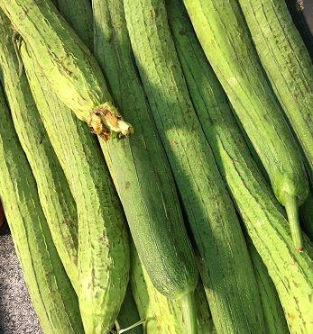 生瓜可以抄着吃吗