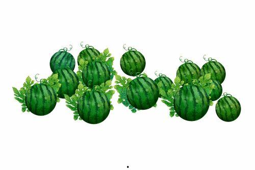 吃瓜阿橘,揭秘娱乐圈那些不为人知的幕后故事