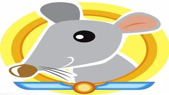 小飞机吃瓜频道