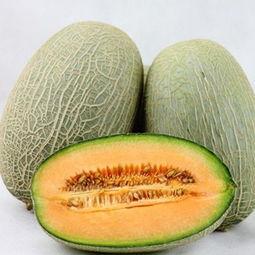 吃哈密瓜肥么,吃哈密瓜真的会发胖吗？